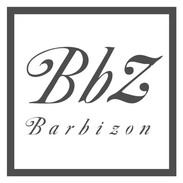 logo-gris-1-bbz